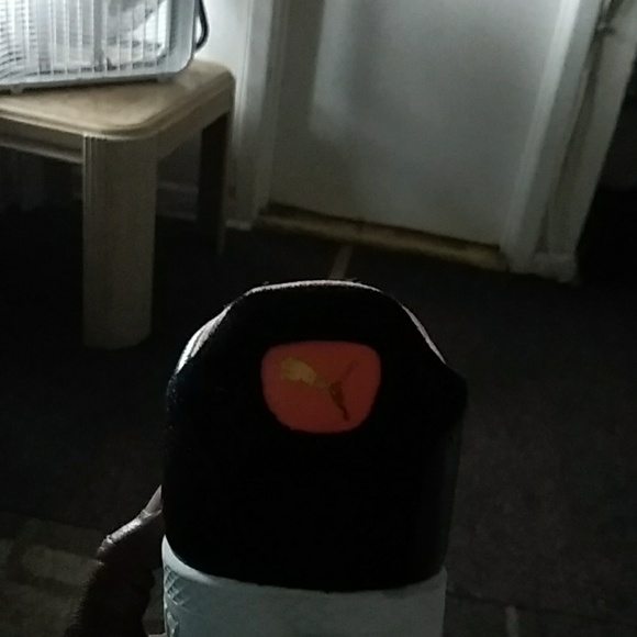 Puma - Picture 3 of 6